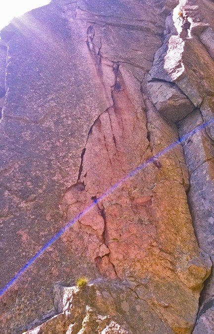 Metamorfosis, la línea perfecta